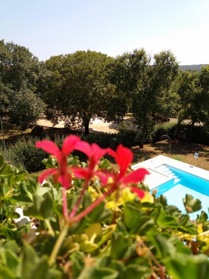 Pansion Oliva Ξενοδοχείο Krnica Εξωτερικό φωτογραφία